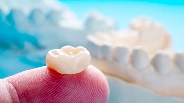 Closeup View Of Tooth